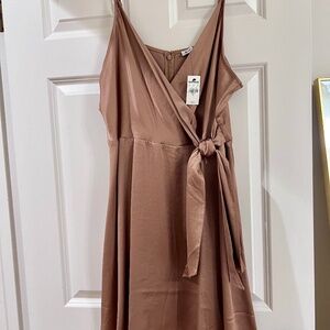 Express Carmel Dress